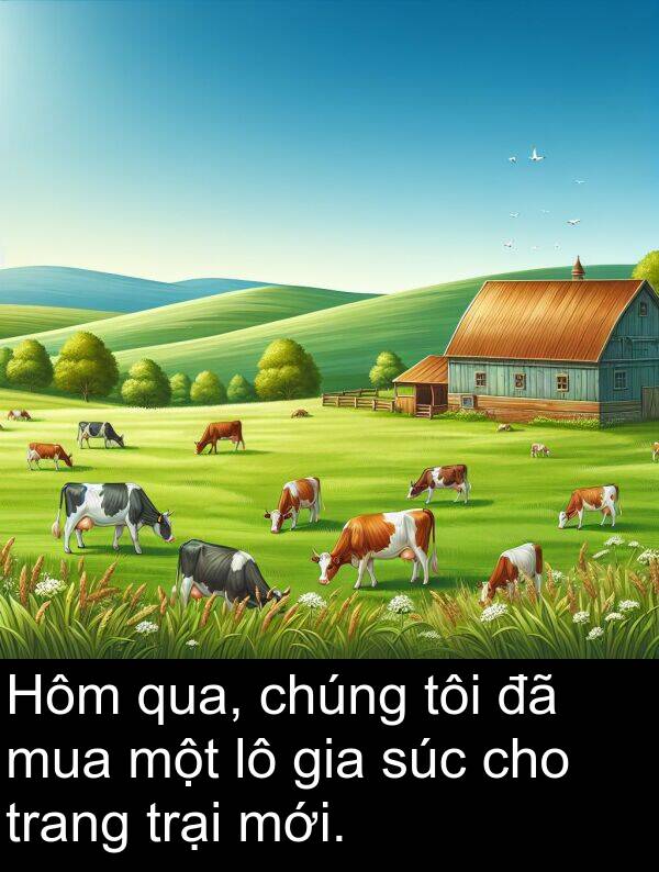 trại: Hôm qua, chúng tôi đã mua một lô gia súc cho trang trại mới.