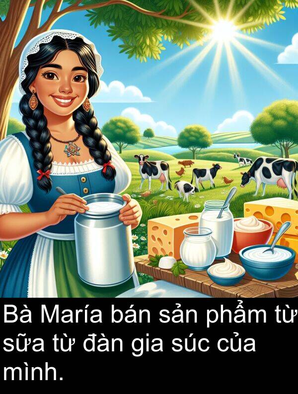 đàn: Bà María bán sản phẩm từ sữa từ đàn gia súc của mình.