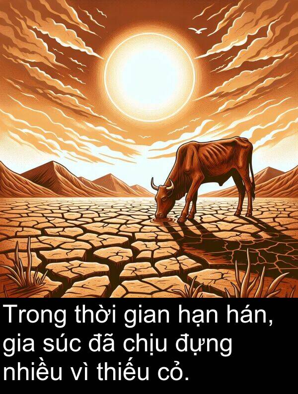 đựng: Trong thời gian hạn hán, gia súc đã chịu đựng nhiều vì thiếu cỏ.