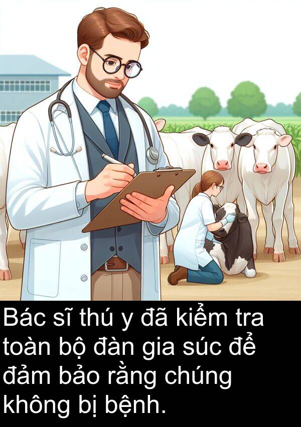 đàn: Bác sĩ thú y đã kiểm tra toàn bộ đàn gia súc để đảm bảo rằng chúng không bị bệnh.