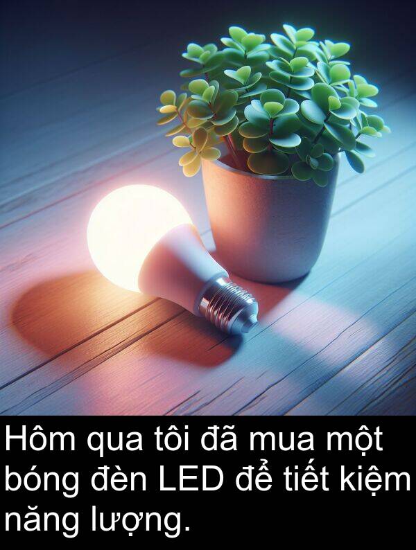 bóng: Hôm qua tôi đã mua một bóng đèn LED để tiết kiệm năng lượng.