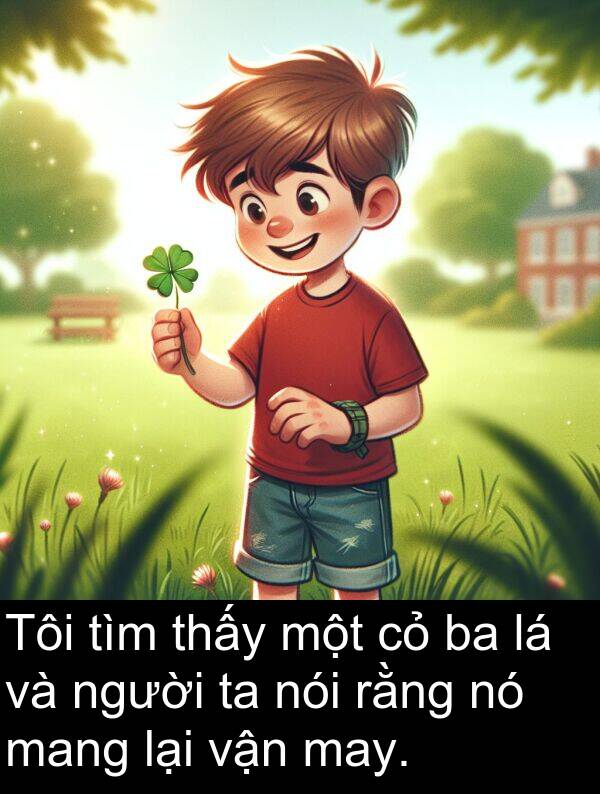 mang: Tôi tìm thấy một cỏ ba lá và người ta nói rằng nó mang lại vận may.