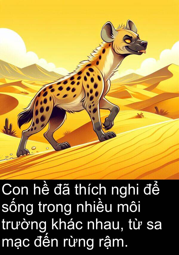 nghi: Con hề đã thích nghi để sống trong nhiều môi trường khác nhau, từ sa mạc đến rừng rậm.