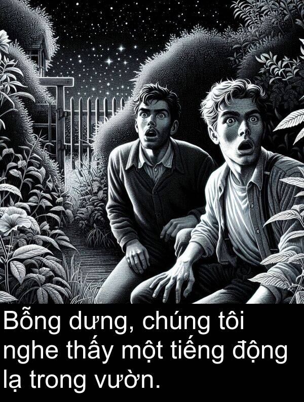 nghe: Bỗng dưng, chúng tôi nghe thấy một tiếng động lạ trong vườn.