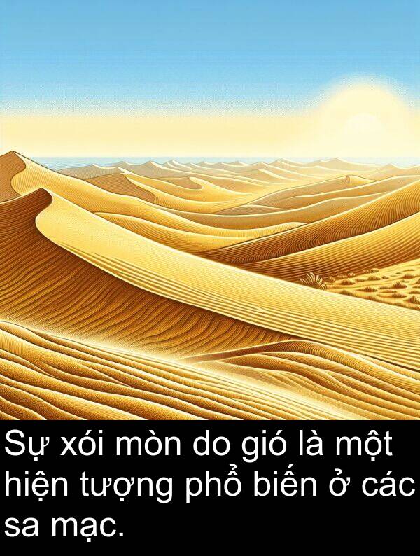 xói: Sự xói mòn do gió là một hiện tượng phổ biến ở các sa mạc.