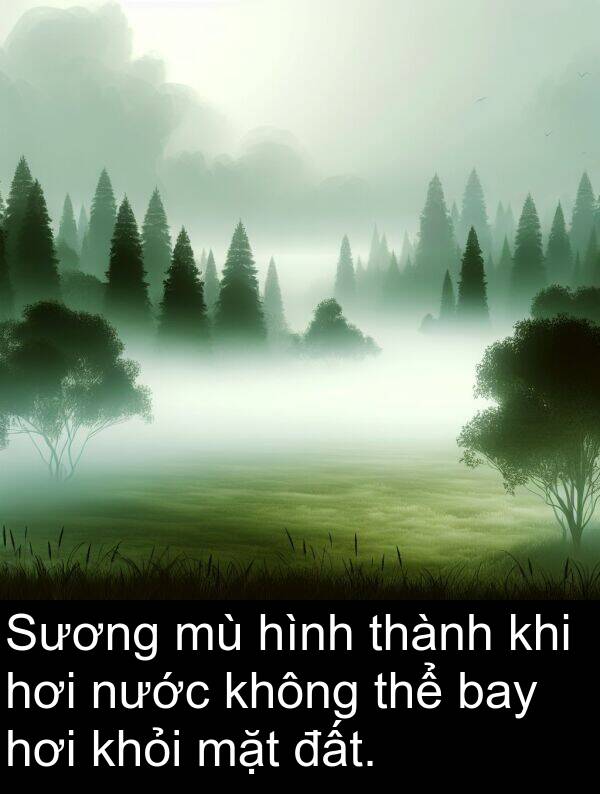 hơi: Sương mù hình thành khi hơi nước không thể bay hơi khỏi mặt đất.