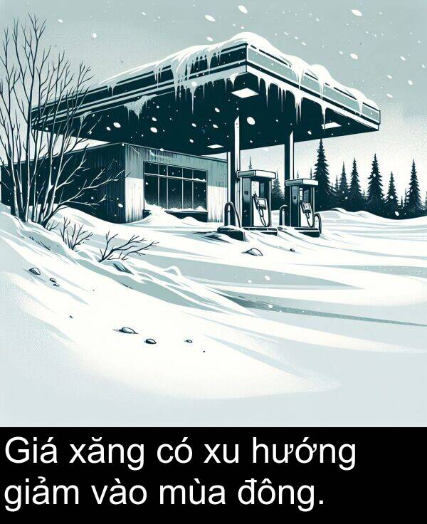 đông: Giá xăng có xu hướng giảm vào mùa đông.