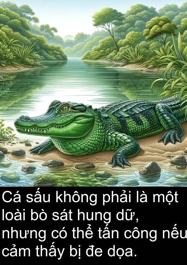 hung: Cá sấu không phải là một loài bò sát hung dữ, nhưng có thể tấn công nếu cảm thấy bị đe dọa.