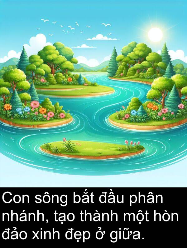 đảo: Con sông bắt đầu phân nhánh, tạo thành một hòn đảo xinh đẹp ở giữa.