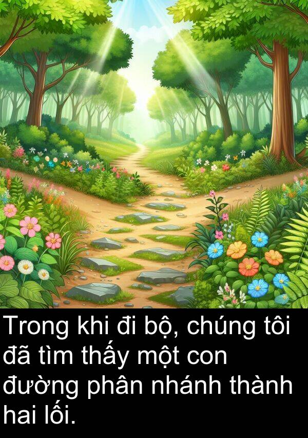 nhánh: Trong khi đi bộ, chúng tôi đã tìm thấy một con đường phân nhánh thành hai lối.