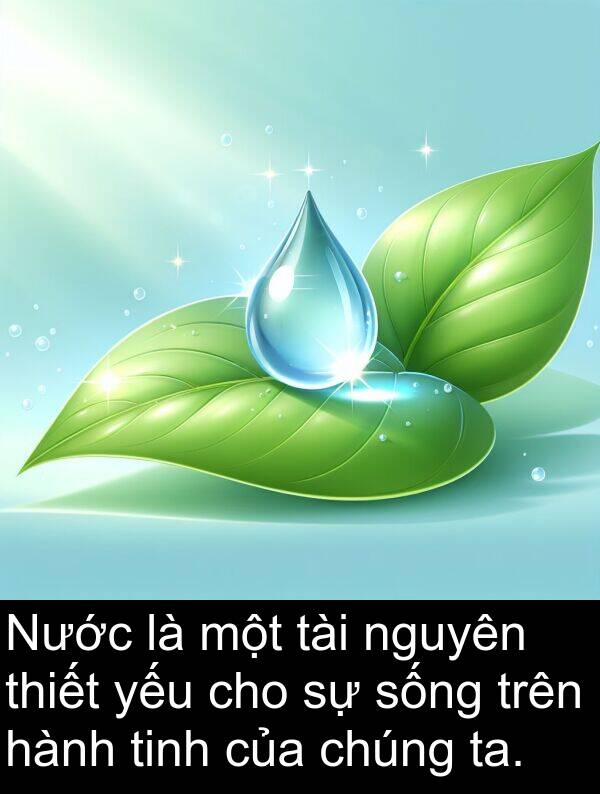 tinh: Nước là một tài nguyên thiết yếu cho sự sống trên hành tinh của chúng ta.