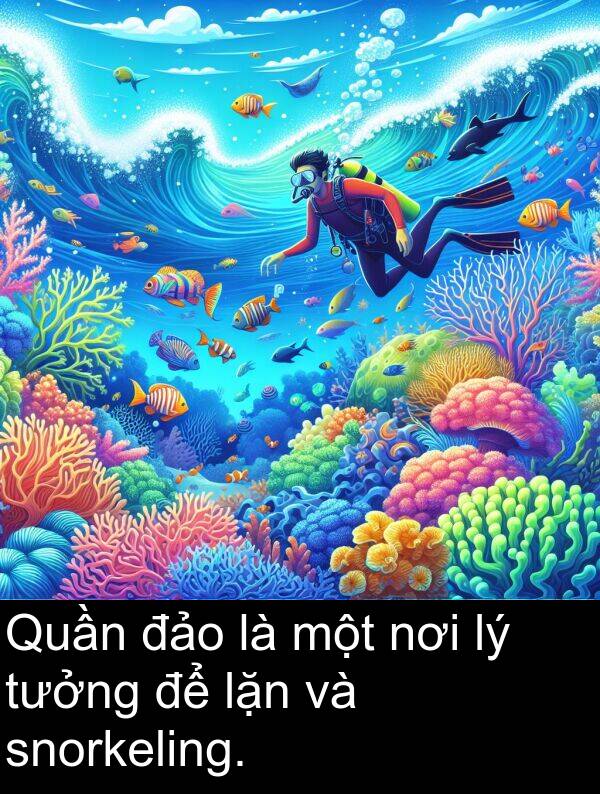 đảo: Quần đảo là một nơi lý tưởng để lặn và snorkeling.