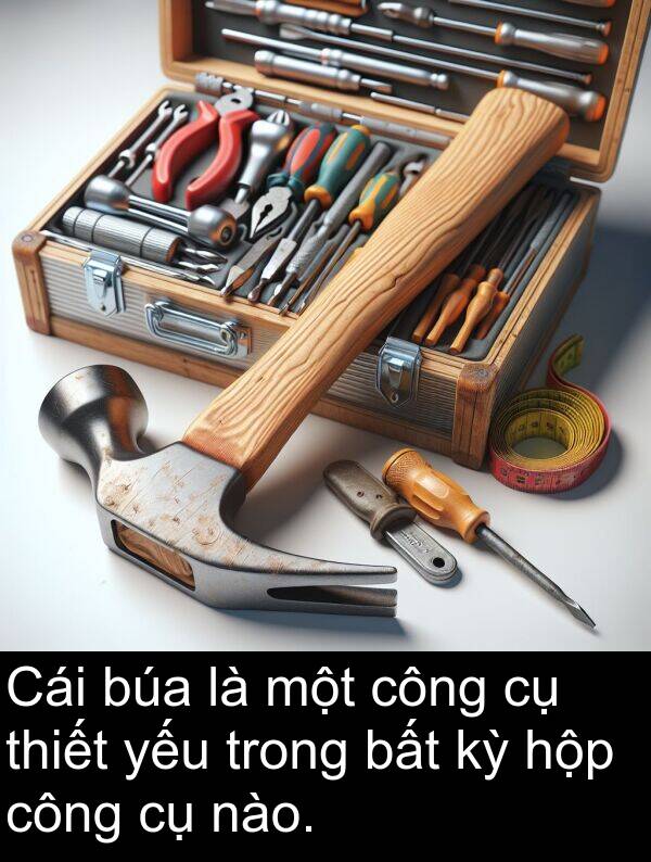 hộp: Cái búa là một công cụ thiết yếu trong bất kỳ hộp công cụ nào.