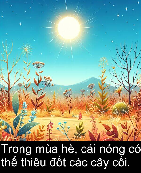 đốt: Trong mùa hè, cái nóng có thể thiêu đốt các cây cối.