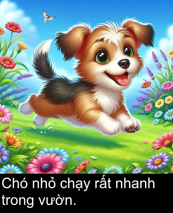 rất: Chó nhỏ chạy rất nhanh trong vườn.