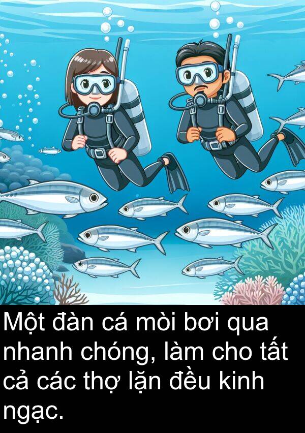 đàn: Một đàn cá mòi bơi qua nhanh chóng, làm cho tất cả các thợ lặn đều kinh ngạc.
