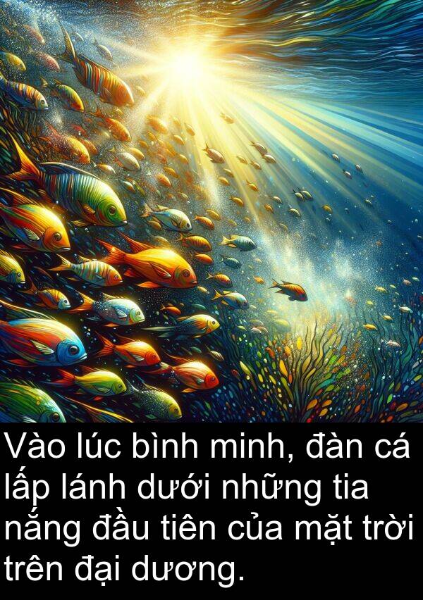 lấp: Vào lúc bình minh, đàn cá lấp lánh dưới những tia nắng đầu tiên của mặt trời trên đại dương.