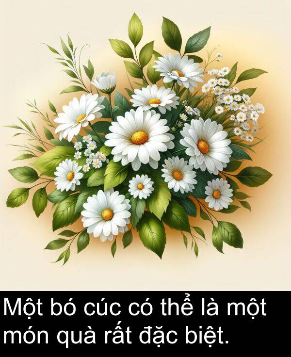biệt: Một bó cúc có thể là một món quà rất đặc biệt.