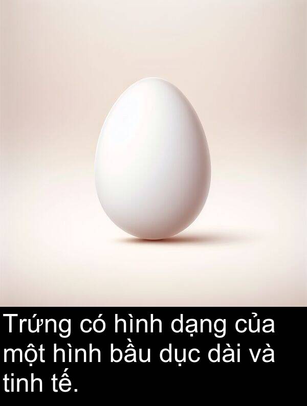 dạng: Trứng có hình dạng của một hình bầu dục dài và tinh tế.