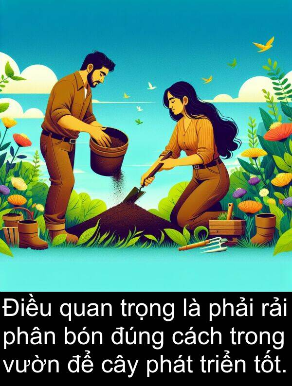 đúng: Điều quan trọng là phải rải phân bón đúng cách trong vườn để cây phát triển tốt.