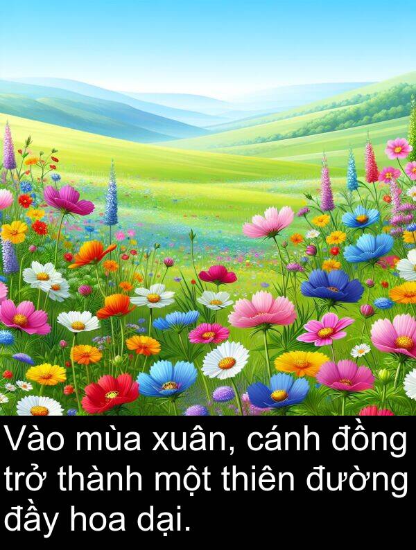 xuân: Vào mùa xuân, cánh đồng trở thành một thiên đường đầy hoa dại.