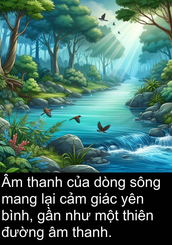sông: Âm thanh của dòng sông mang lại cảm giác yên bình, gần như một thiên đường âm thanh.