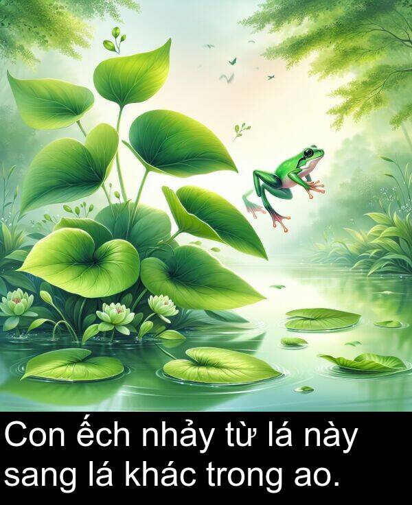 ao: Con ếch nhảy từ lá này sang lá khác trong ao.
