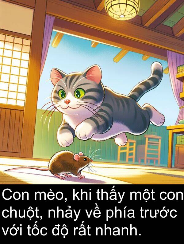 chuột: Con mèo, khi thấy một con chuột, nhảy về phía trước với tốc độ rất nhanh.