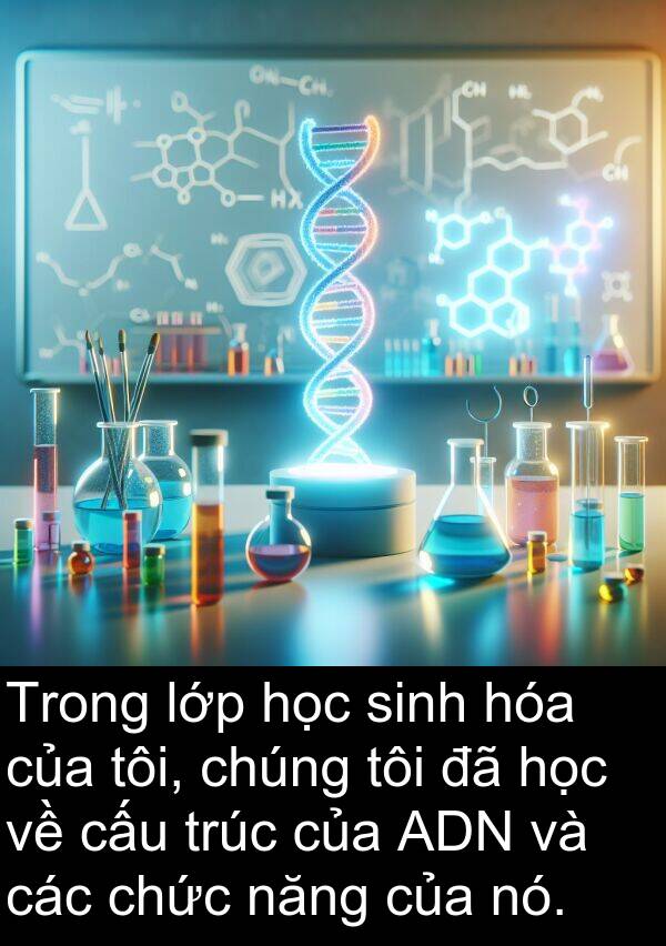 cấu: Trong lớp học sinh hóa của tôi, chúng tôi đã học về cấu trúc của ADN và các chức năng của nó.
