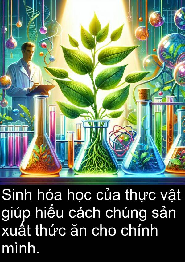 chính: Sinh hóa học của thực vật giúp hiểu cách chúng sản xuất thức ăn cho chính mình.