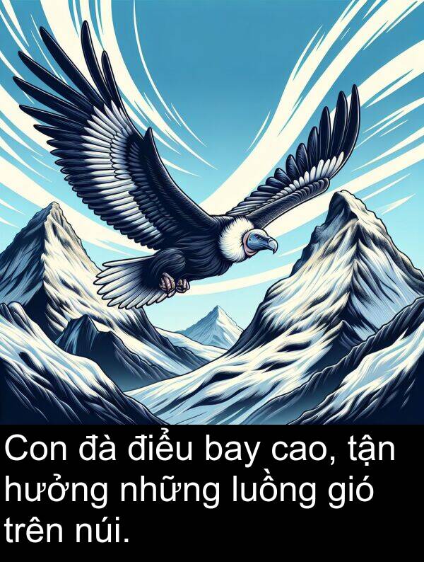 điểu: Con đà điểu bay cao, tận hưởng những luồng gió trên núi.