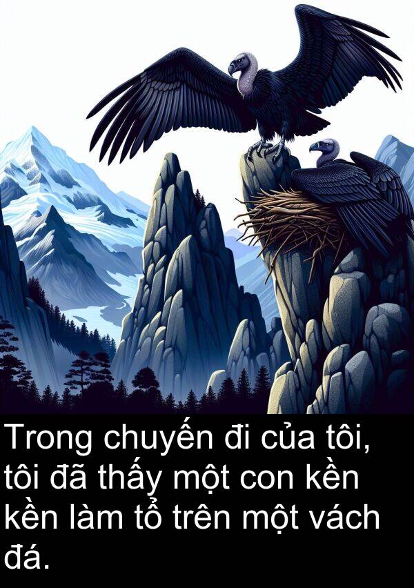 đá: Trong chuyến đi của tôi, tôi đã thấy một con kền kền làm tổ trên một vách đá.