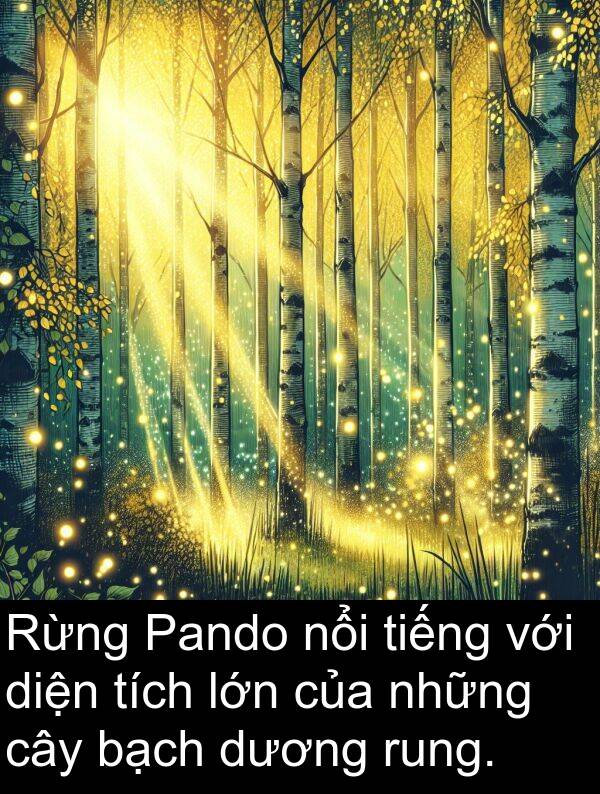 rung: Rừng Pando nổi tiếng với diện tích lớn của những cây bạch dương rung.
