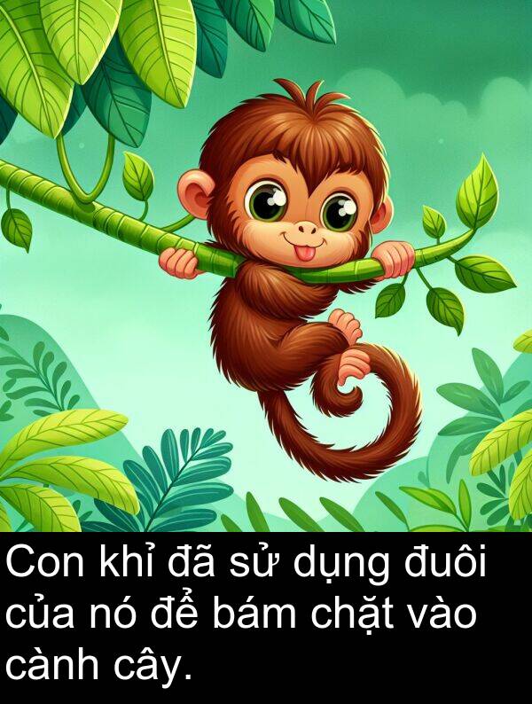đuôi: Con khỉ đã sử dụng đuôi của nó để bám chặt vào cành cây.