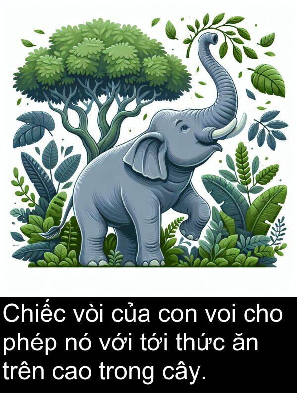 vòi: Chiếc vòi của con voi cho phép nó với tới thức ăn trên cao trong cây.