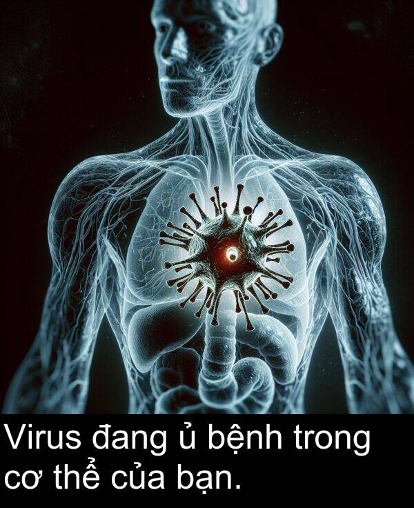 đang: Virus đang ủ bệnh trong cơ thể của bạn.