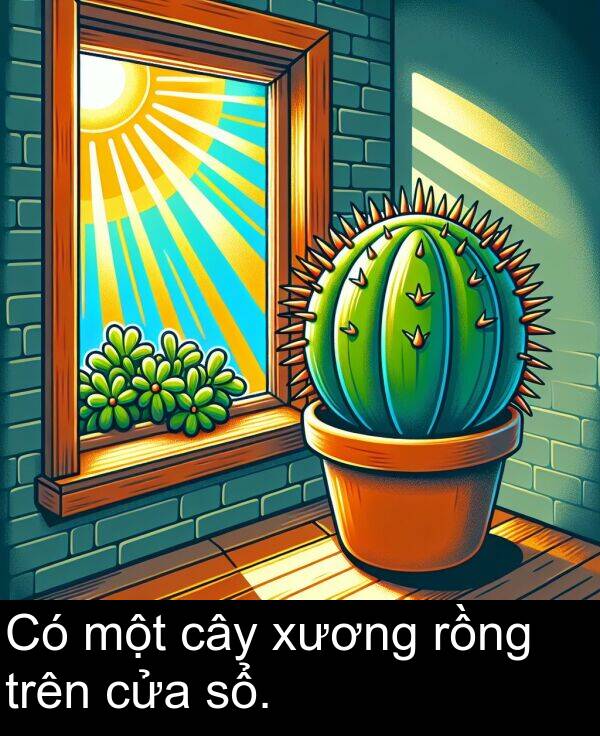 sổ: Có một cây xương rồng trên cửa sổ.