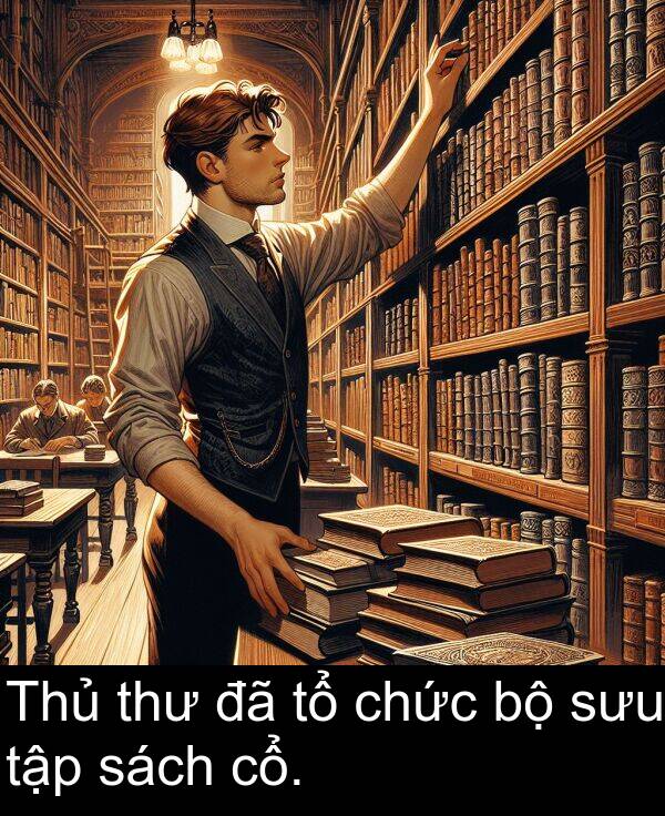 sưu: Thủ thư đã tổ chức bộ sưu tập sách cổ.