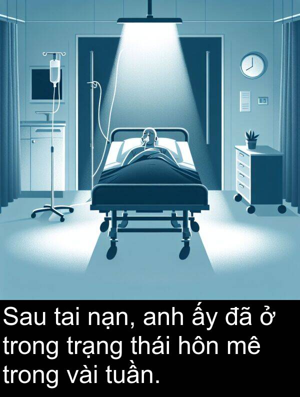 trạng: Sau tai nạn, anh ấy đã ở trong trạng thái hôn mê trong vài tuần.