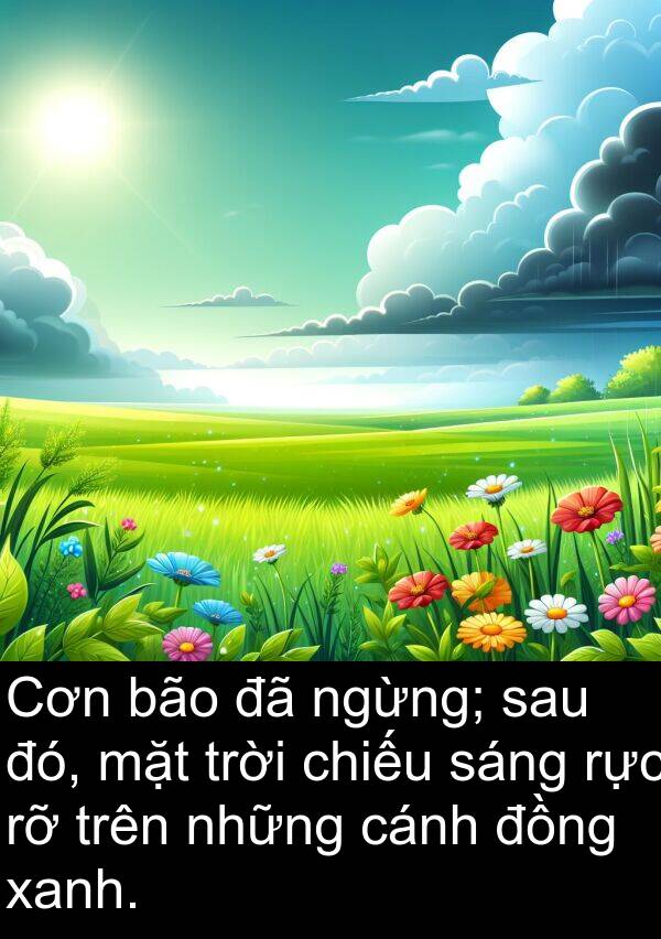 rực: Cơn bão đã ngừng; sau đó, mặt trời chiếu sáng rực rỡ trên những cánh đồng xanh.