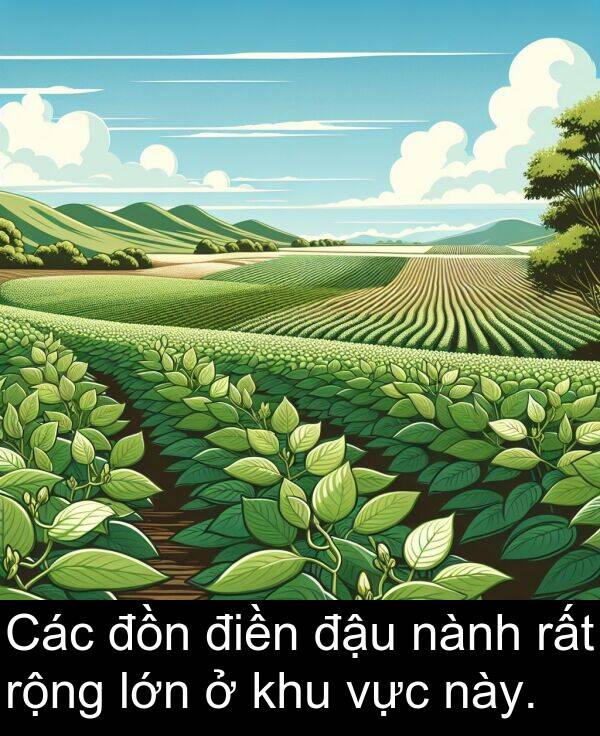 điền: Các đồn điền đậu nành rất rộng lớn ở khu vực này.