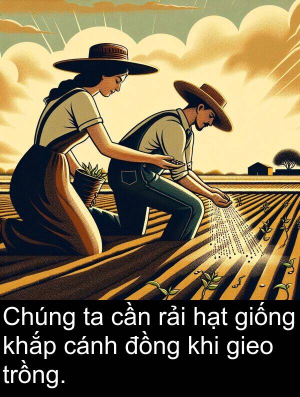 hạt: Chúng ta cần rải hạt giống khắp cánh đồng khi gieo trồng.