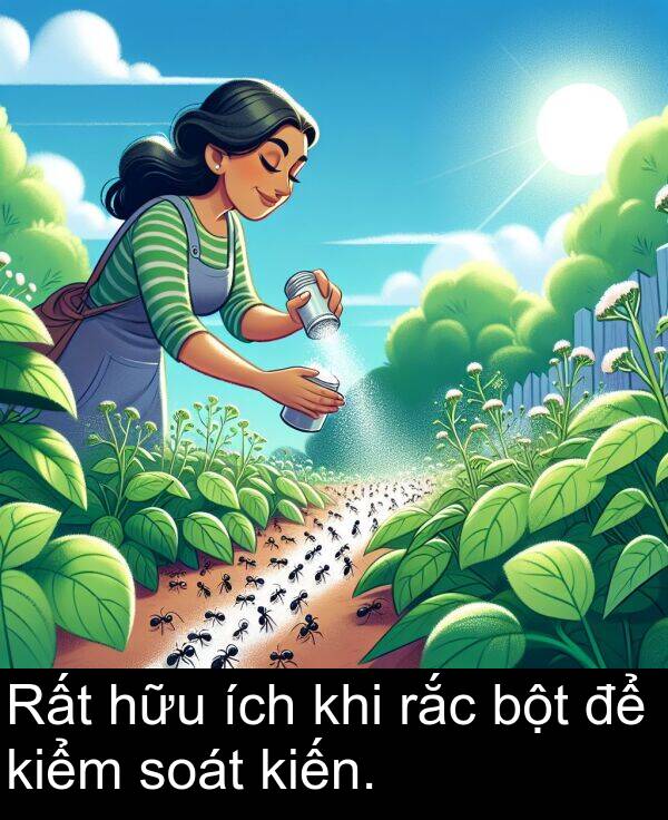 soát: Rất hữu ích khi rắc bột để kiểm soát kiến.