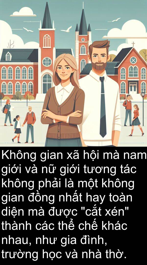 nam: Không gian xã hội mà nam giới và nữ giới tương tác không phải là một không gian đồng nhất hay toàn diện mà được "cắt xén" thành các thể chế khác nhau, như gia đình, trường học và nhà thờ.