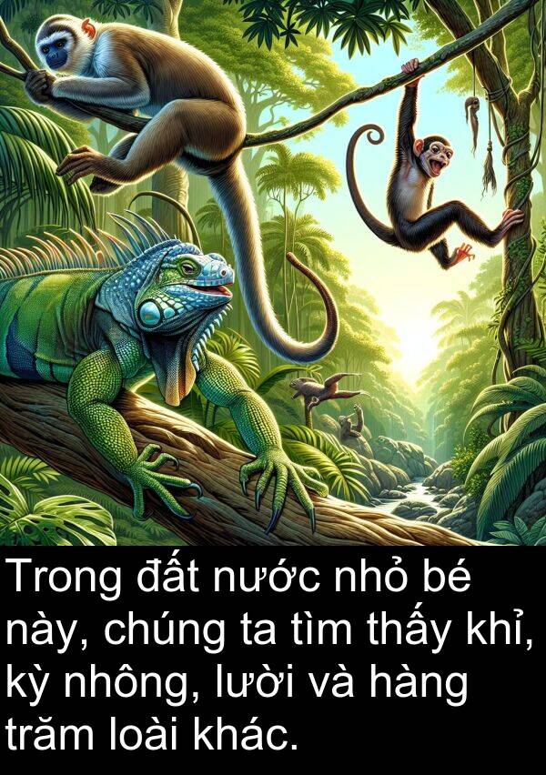 trăm: Trong đất nước nhỏ bé này, chúng ta tìm thấy khỉ, kỳ nhông, lười và hàng trăm loài khác.