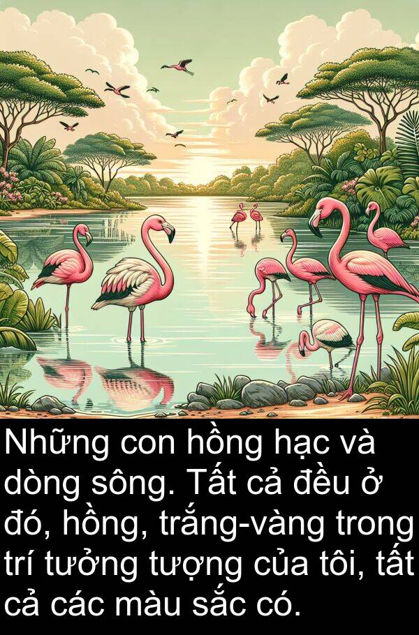 sông: Những con hồng hạc và dòng sông. Tất cả đều ở đó, hồng, trắng-vàng trong trí tưởng tượng của tôi, tất cả các màu sắc có.