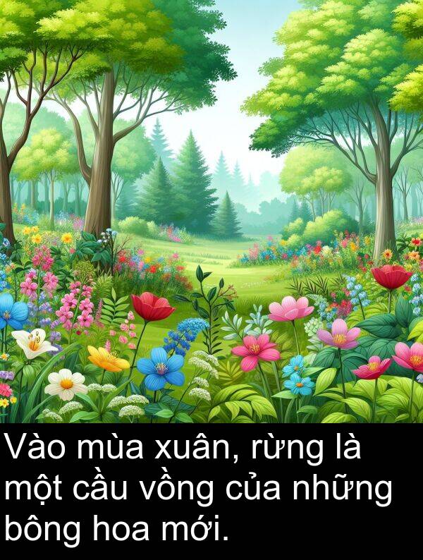 bông: Vào mùa xuân, rừng là một cầu vồng của những bông hoa mới.