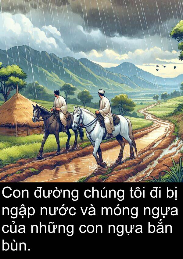 ngập: Con đường chúng tôi đi bị ngập nước và móng ngựa của những con ngựa bắn bùn.
