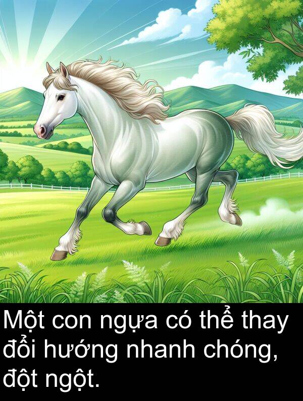 đột: Một con ngựa có thể thay đổi hướng nhanh chóng, đột ngột.