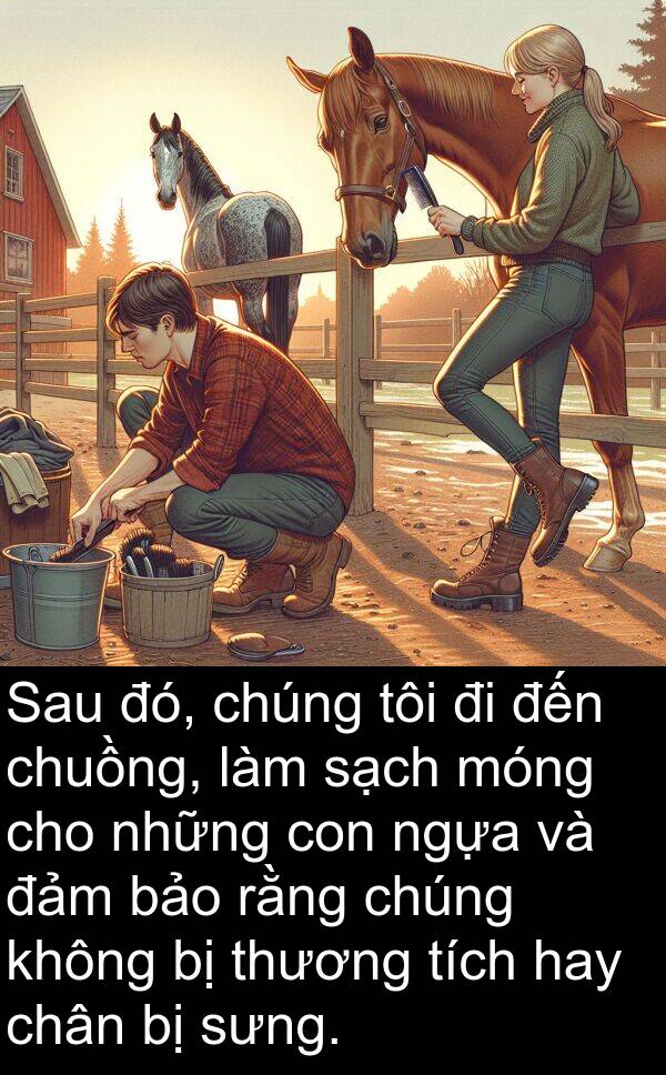 đảm: Sau đó, chúng tôi đi đến chuồng, làm sạch móng cho những con ngựa và đảm bảo rằng chúng không bị thương tích hay chân bị sưng.